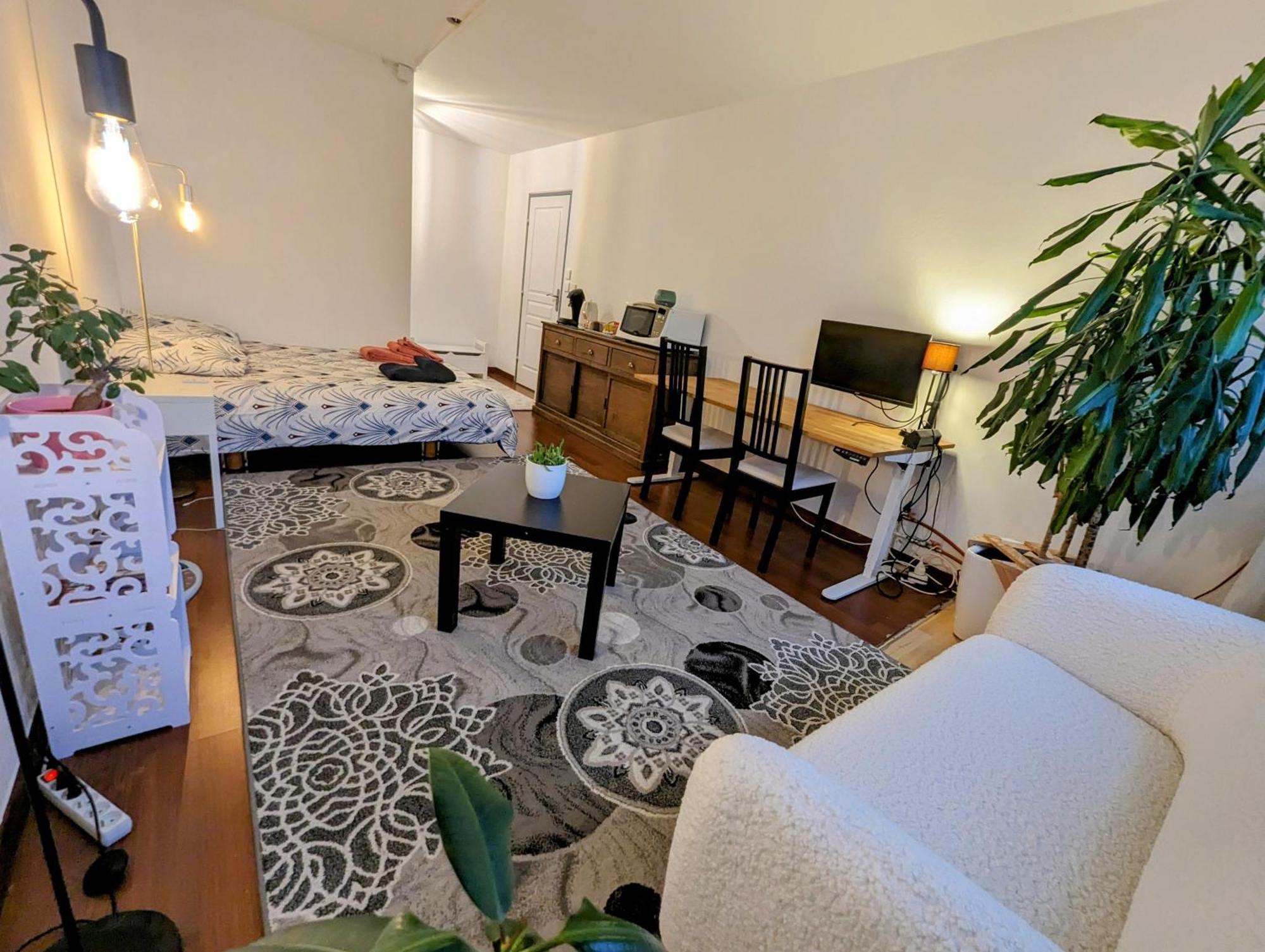 Chez Les P'Tits Loups Apartment Strasbourg Ngoại thất bức ảnh