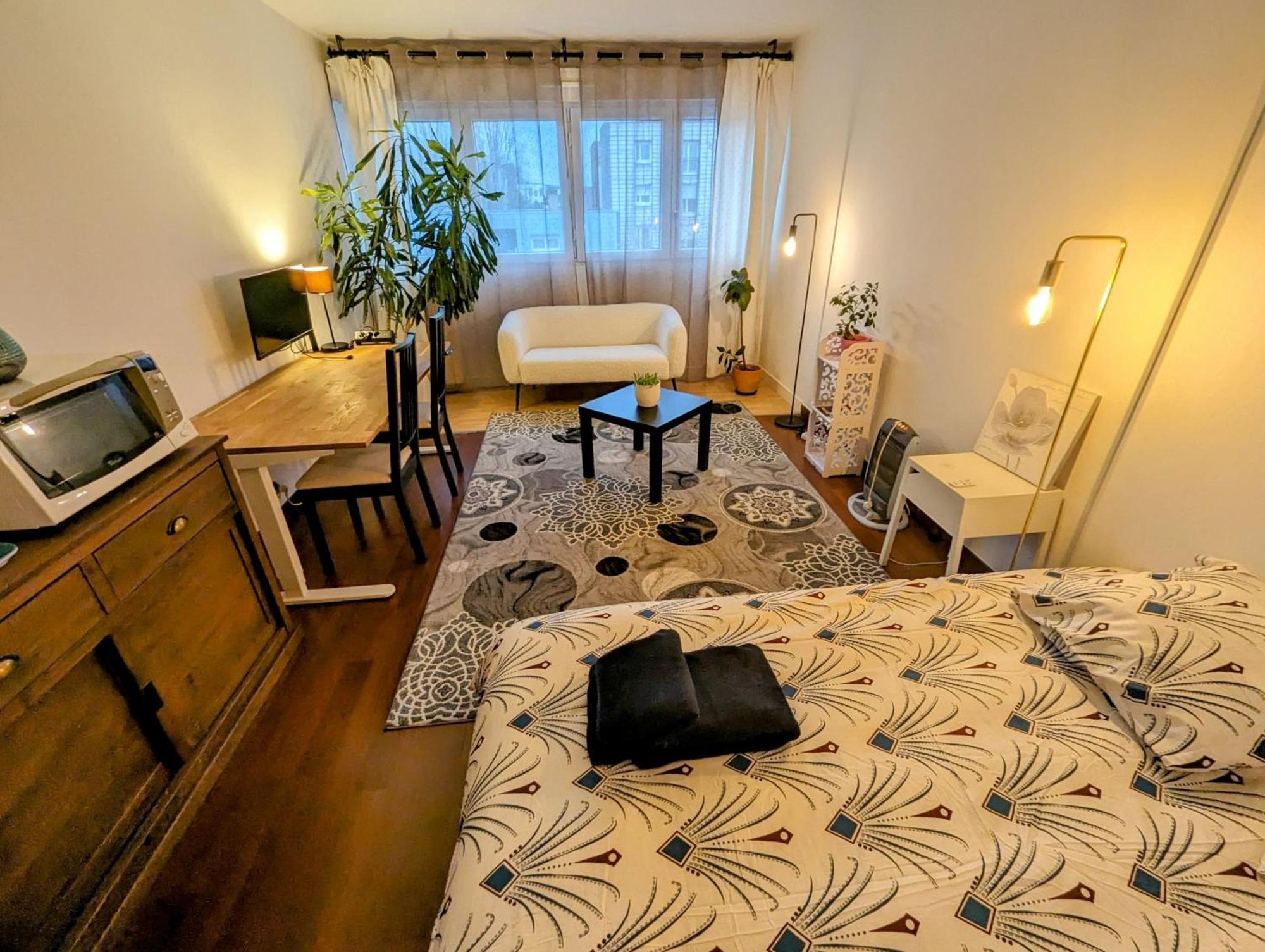 Chez Les P'Tits Loups Apartment Strasbourg Ngoại thất bức ảnh