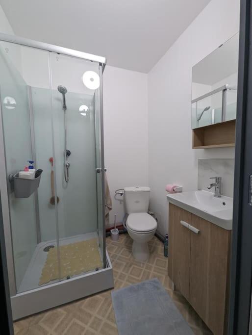 Chez Les P'Tits Loups Apartment Strasbourg Ngoại thất bức ảnh